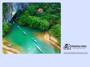 Explore-Phong-Nha-Ke-Bang-National-Park-A-UNESCO-World-Wonder