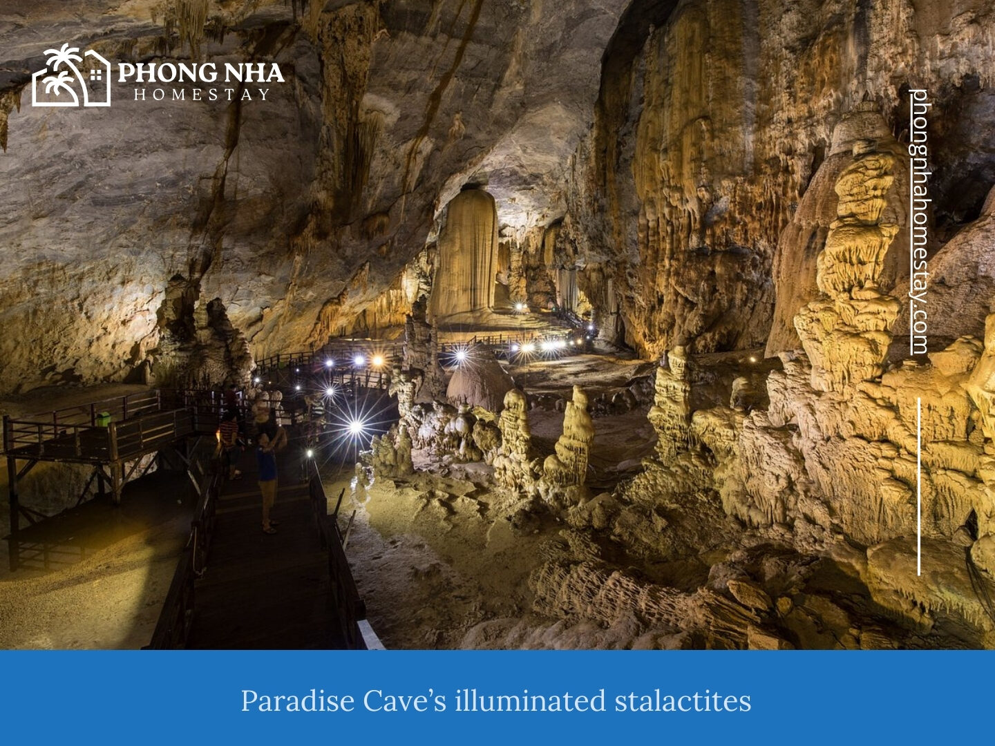 Paradise-Caves-illuminated-stalactites
