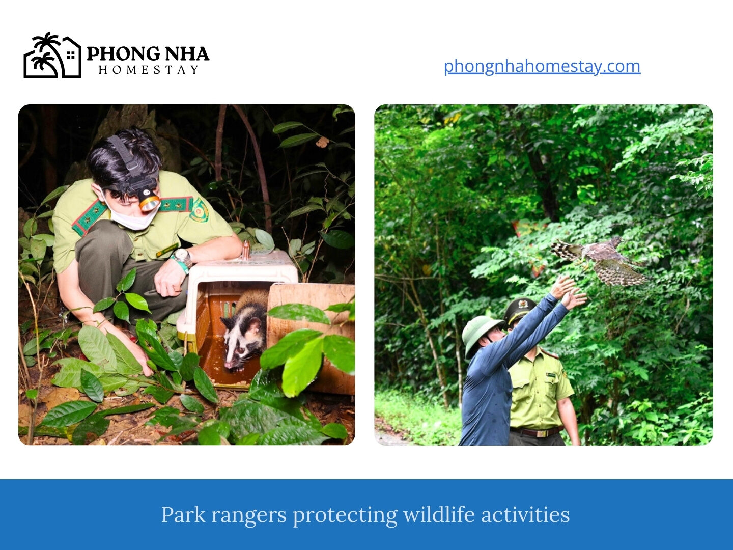 Park-rangers-protecting-wildlife-activities