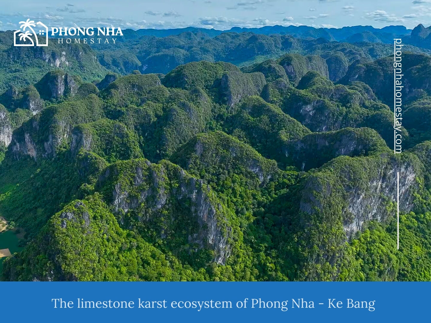 The-limestone-karst-ecosystem-of-Phong-Nha-Ke-Bang
