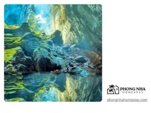 Phong Nha Top Attractions
