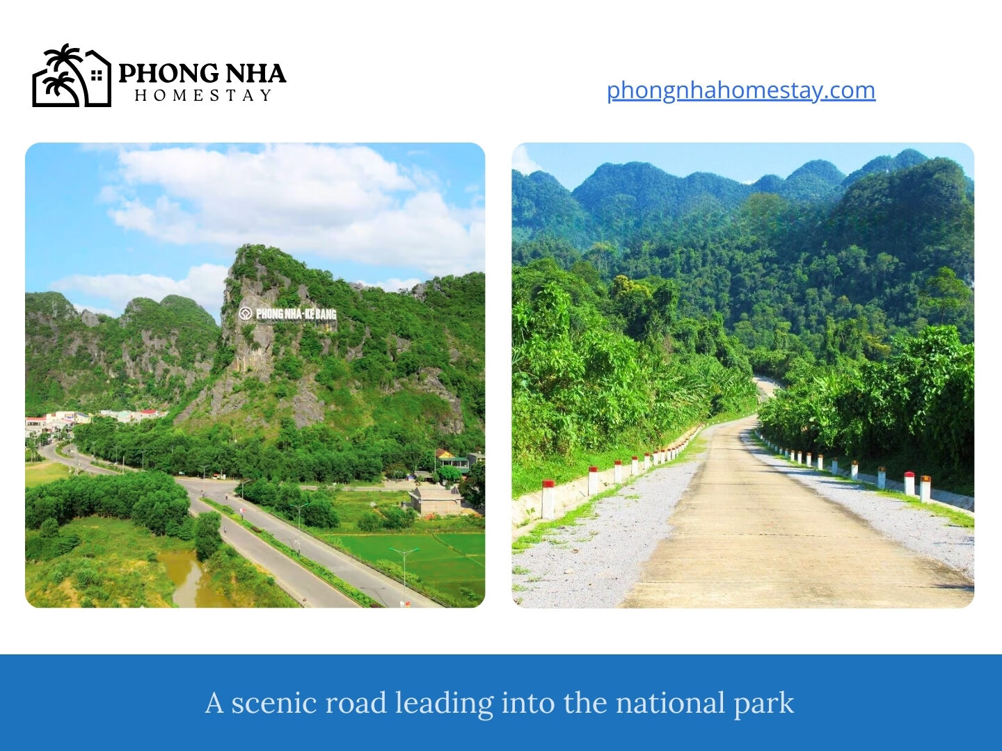 A-scenic-road-leading-into-the-national-park