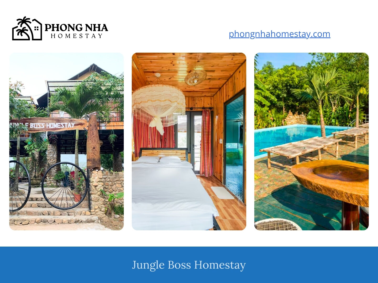 Jungle-Boss-Homestay