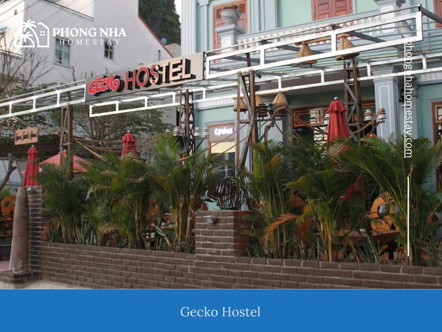 Budget Hostels for Solo Travelers