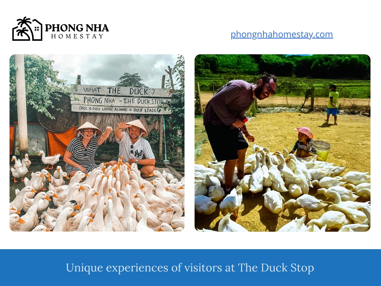 Unique-experiences-of-visitors-at-The-Duck-Stop