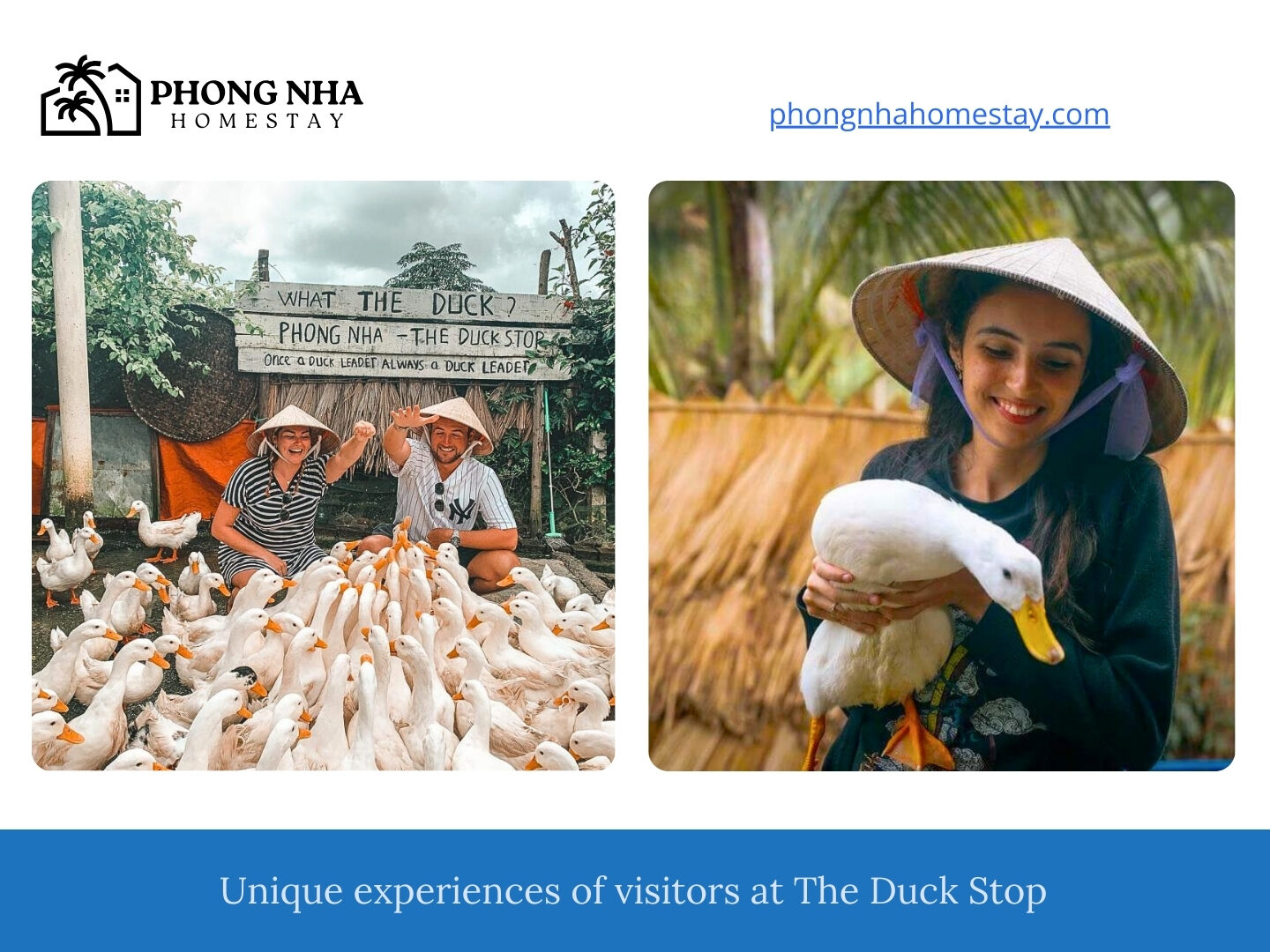 Unique-experiences-of-visitors-at-The-Duck-Stop